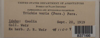 Image Associated With the Occurence
